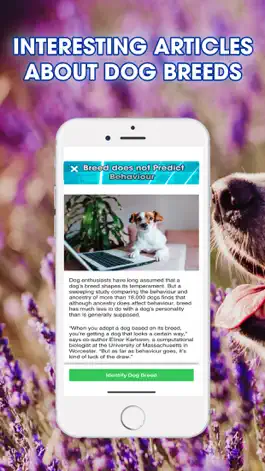 Game screenshot Dog Breeds Identifier apk