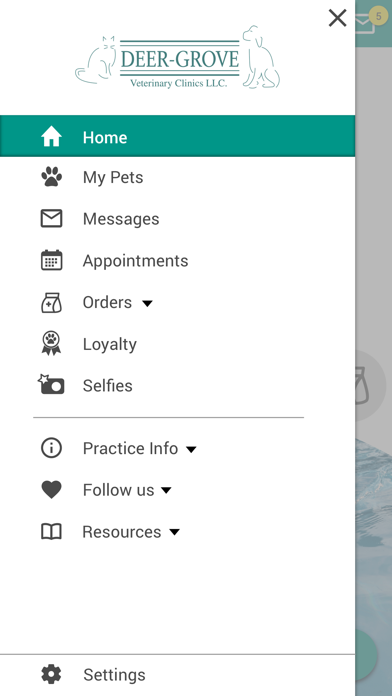 Deer Grove Vet Clinic Screenshot