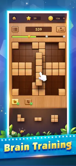 Game screenshot Wood Block Puzzle Games:Tetria hack