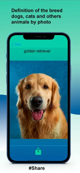 Game screenshot Dog scanner Chewy apk