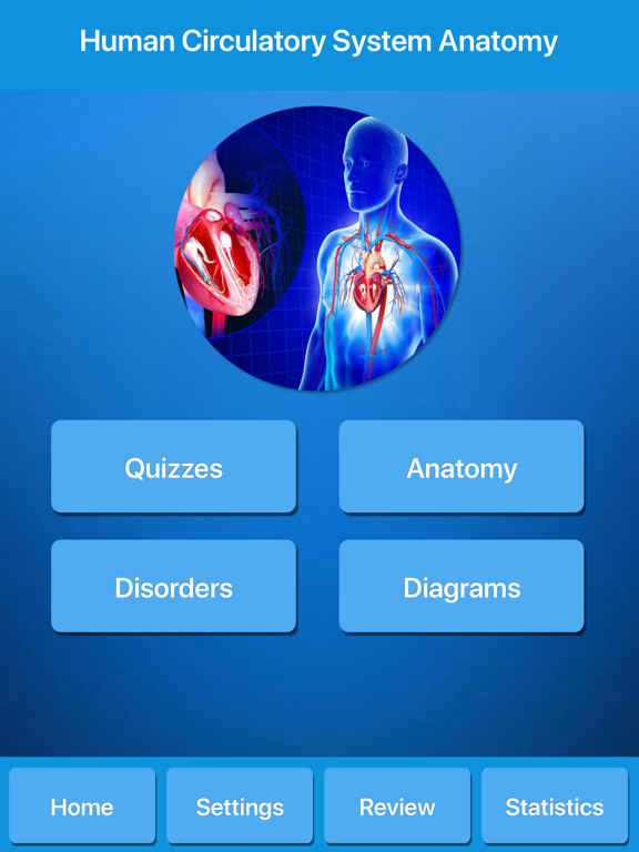 Screenshot #4 pour Circulatory System Anatomy