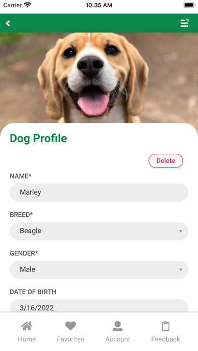 Mobile Dog Screenshot