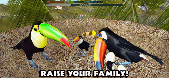 Ultimate Bird Simulator