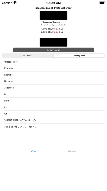Japanese English Converter
