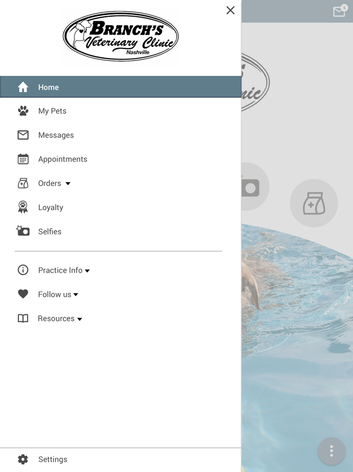 Branchs Vet Clinic Nashville