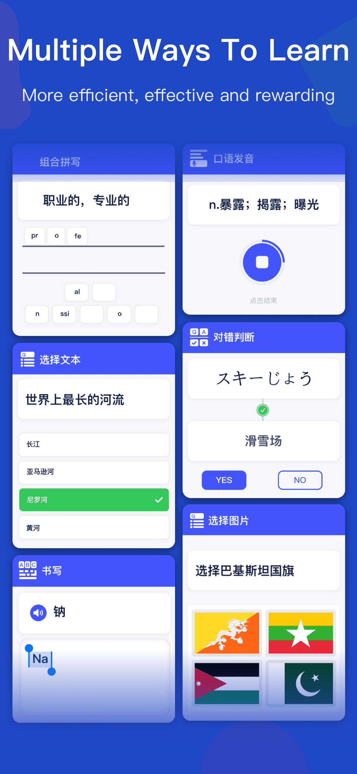 Memoset - Vocabulary Learning