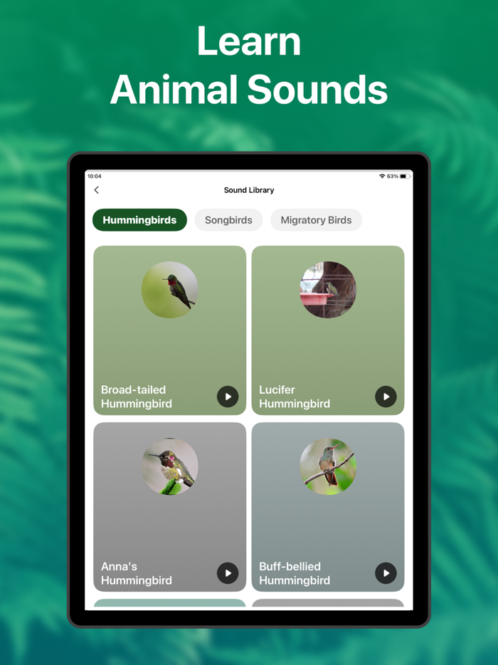 Picture Nature Animal ID