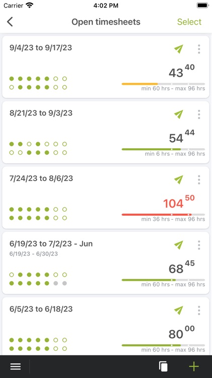 NetSuite SuiteProjects Pro
