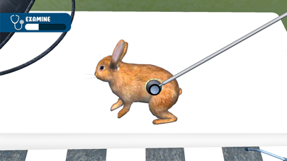 Animal Shelter: My Pet Dog Sim Screenshot