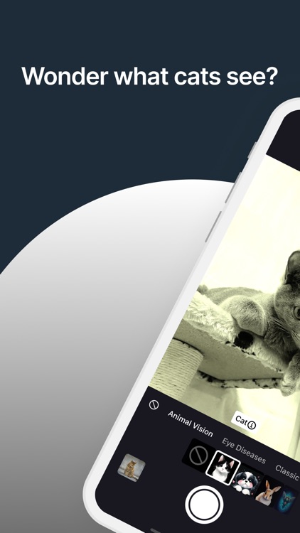 EyeYo - Fun filters here!