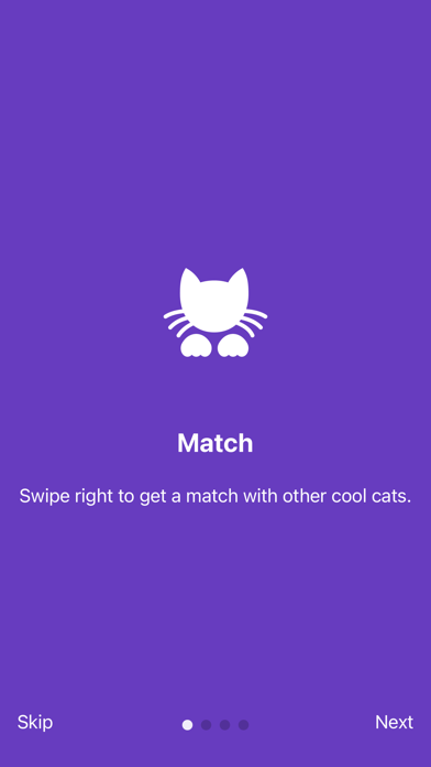 Kitty Nip - Cat Dating App Screenshot