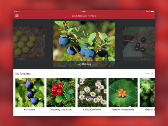 Wild Berries and Herbs 2 PRO iPad app afbeelding 1