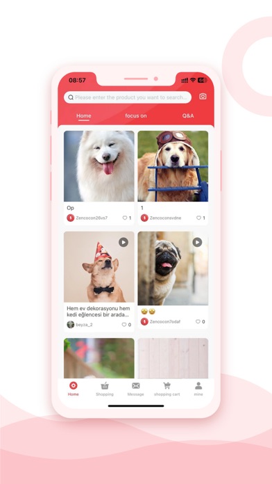Zencocon Screenshot