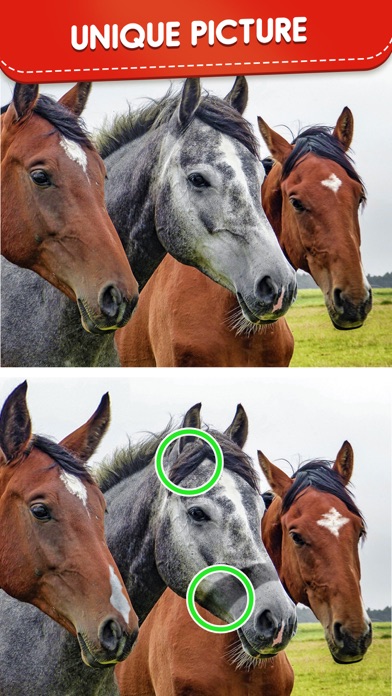 Find Differences: Spot It Screenshot