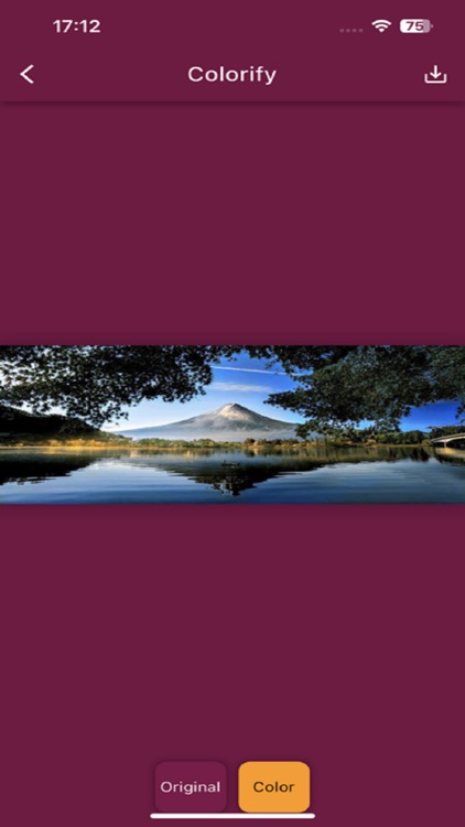 Colorify - Photo Colorizer