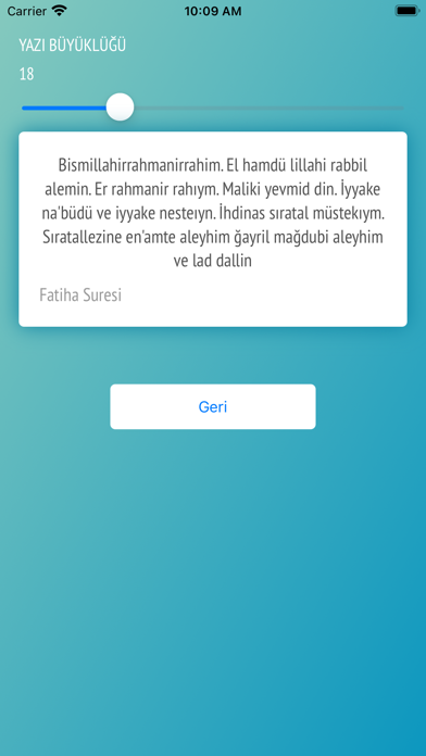 Günün Ayetini Oku Screenshot
