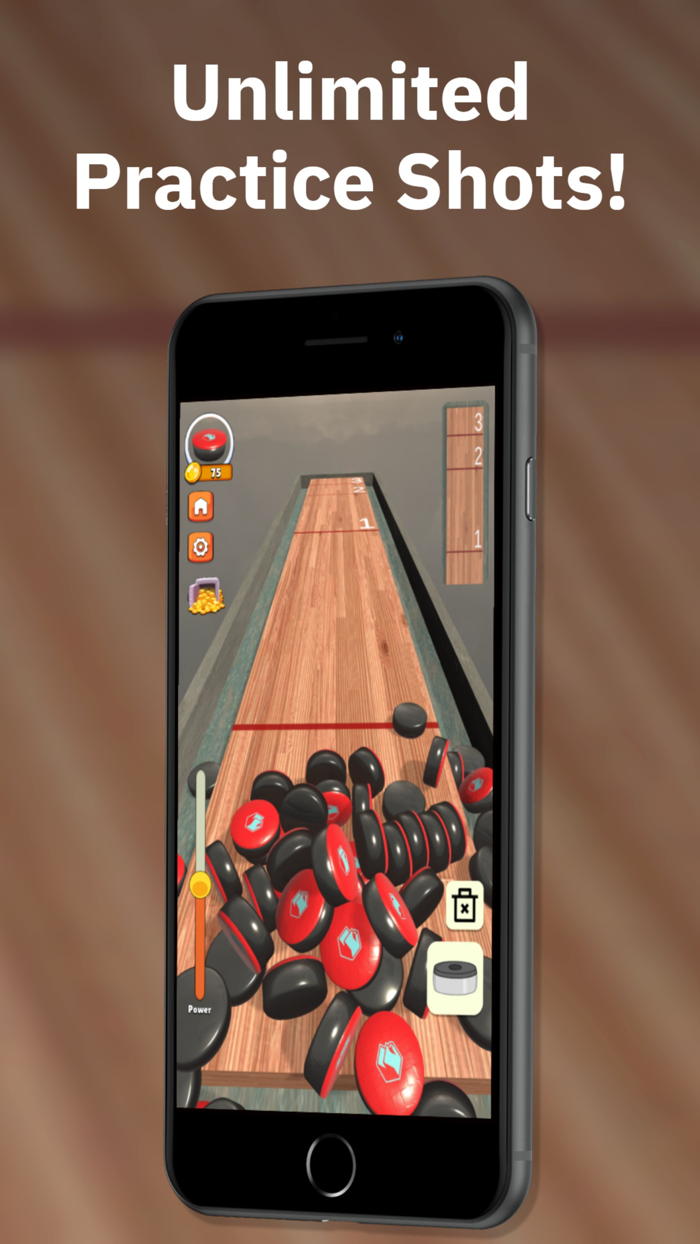 Tabletop Shuffleboard