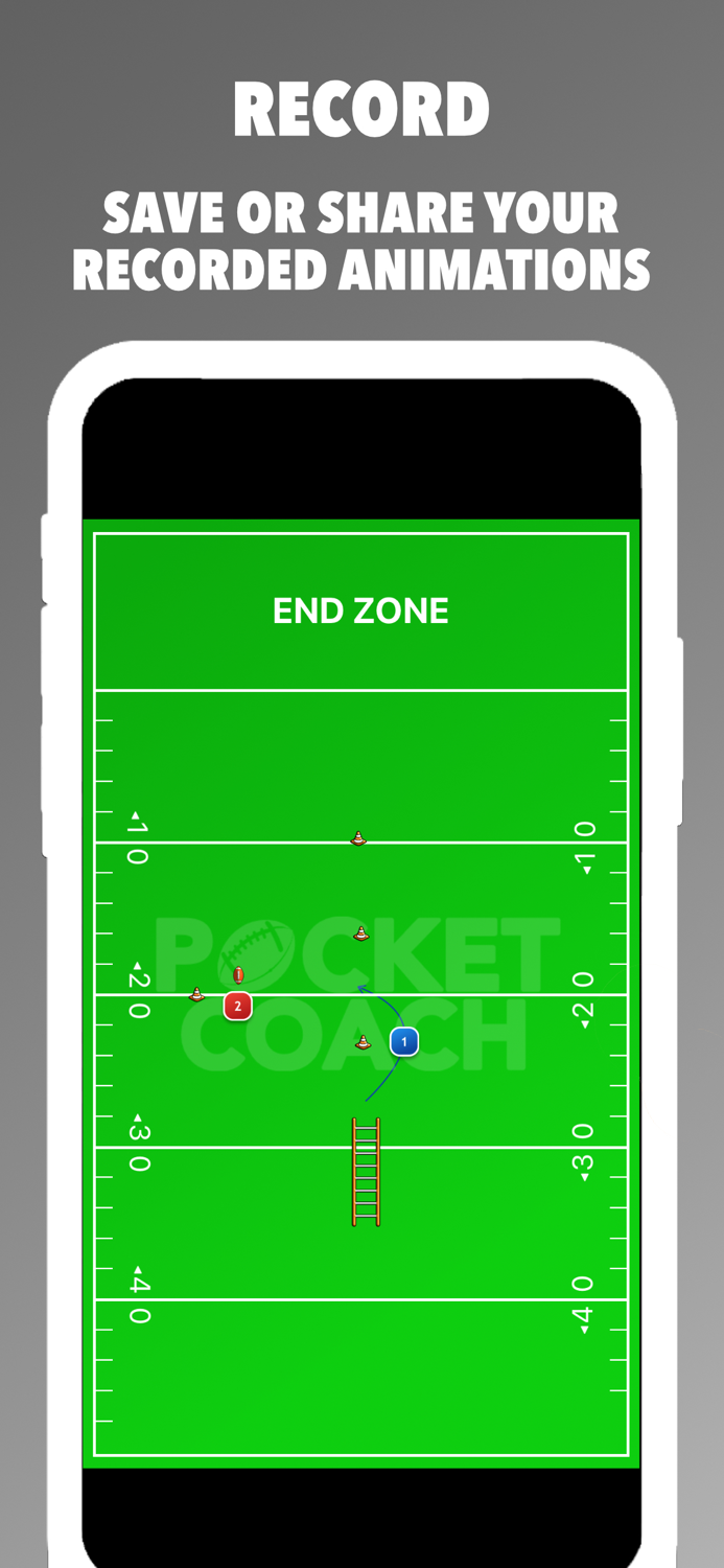 Pocket Coach Football Board