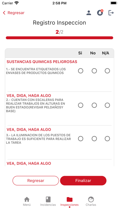 ACE Seguridad Screenshot