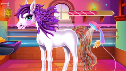 Cute Pony Mane Braiding Salon Screenshot