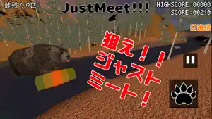 Brown-bear-blasts-salmon screenshot 2