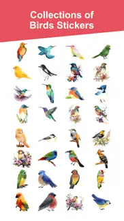 the watercolor birds iphone images 1