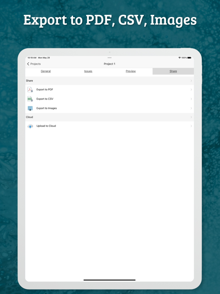 Site Audit - Punch Snag Lists