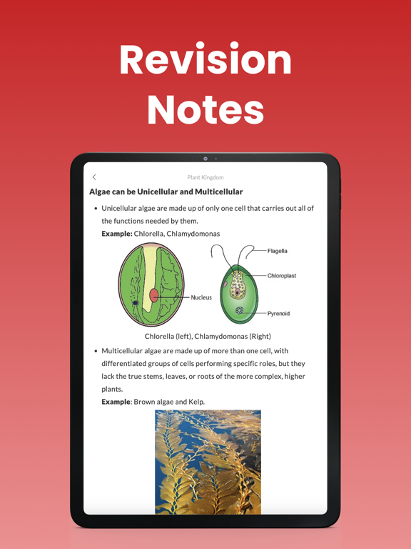 EduRev iPad screenshot 4 - Education app