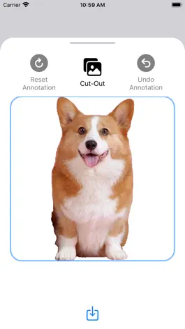 Game screenshot Segment Anything apk