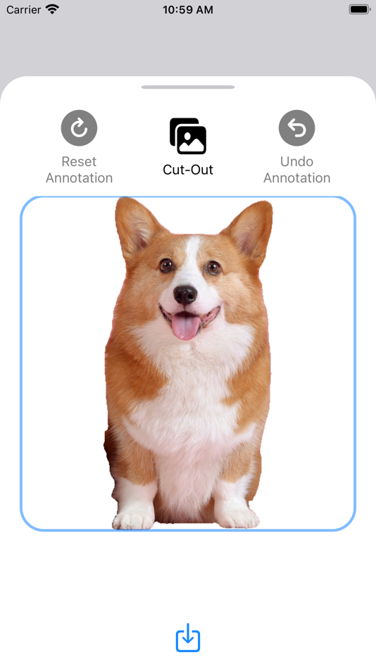 #2. Segment Anything (iOS) 由: 嘉琦 沈