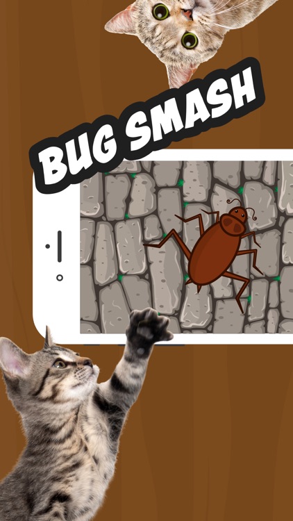 Games for cats : Catching mice