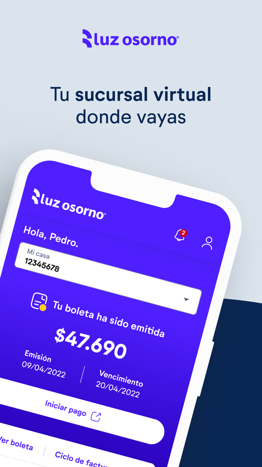 #1. Luz Osorno App (iOS) 由: Grupo Saesa