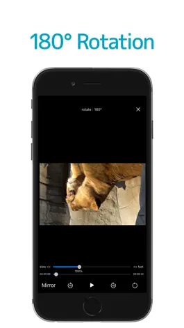 Game screenshot Motion Player - Mirror & slow hack