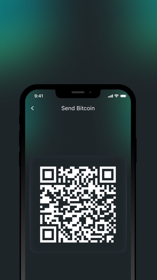 #6. Rubicon Wallet (iOS) 由: Rubicoin Software Company OU