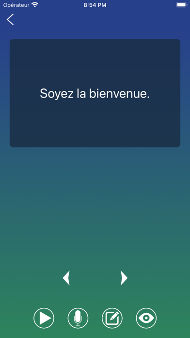 Screenshot #3 pour Phrase française