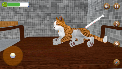Animal Shelter Pet Cat Games Screenshot