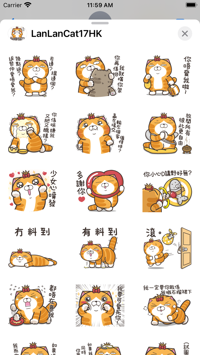 白爛貓17 三八阿花一朵花 HK