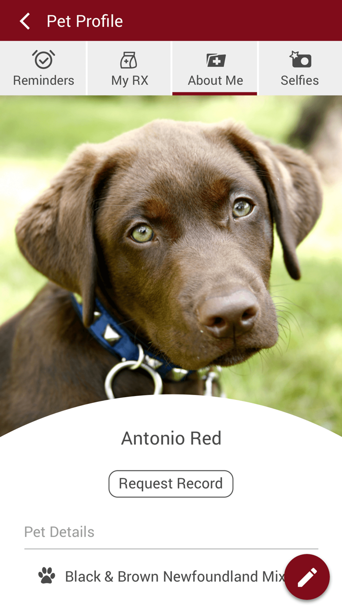 Oconomowoc Animal Hospital