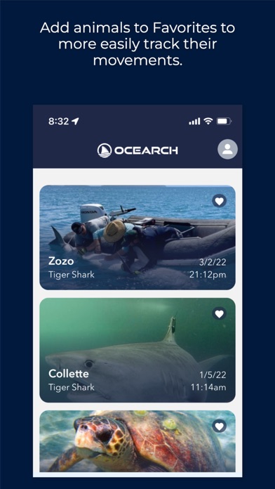 OCEARCH Shark Trackerのおすすめ画像5