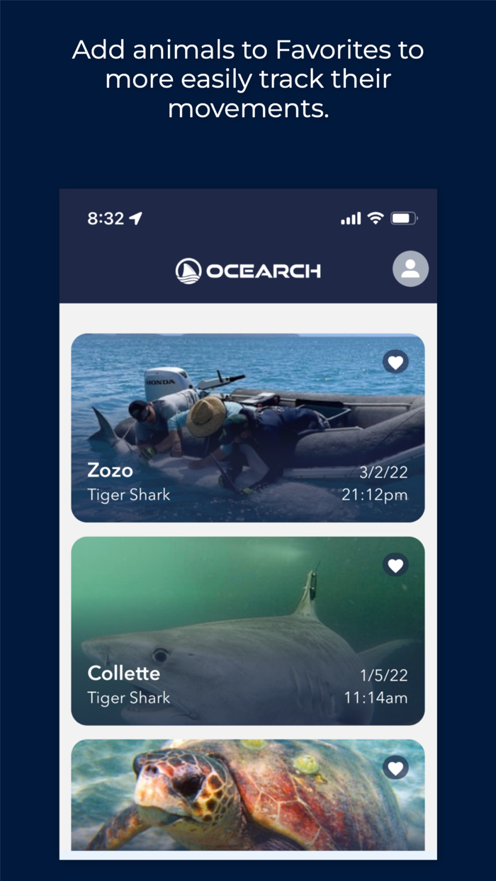 OCEARCH Shark Tracker