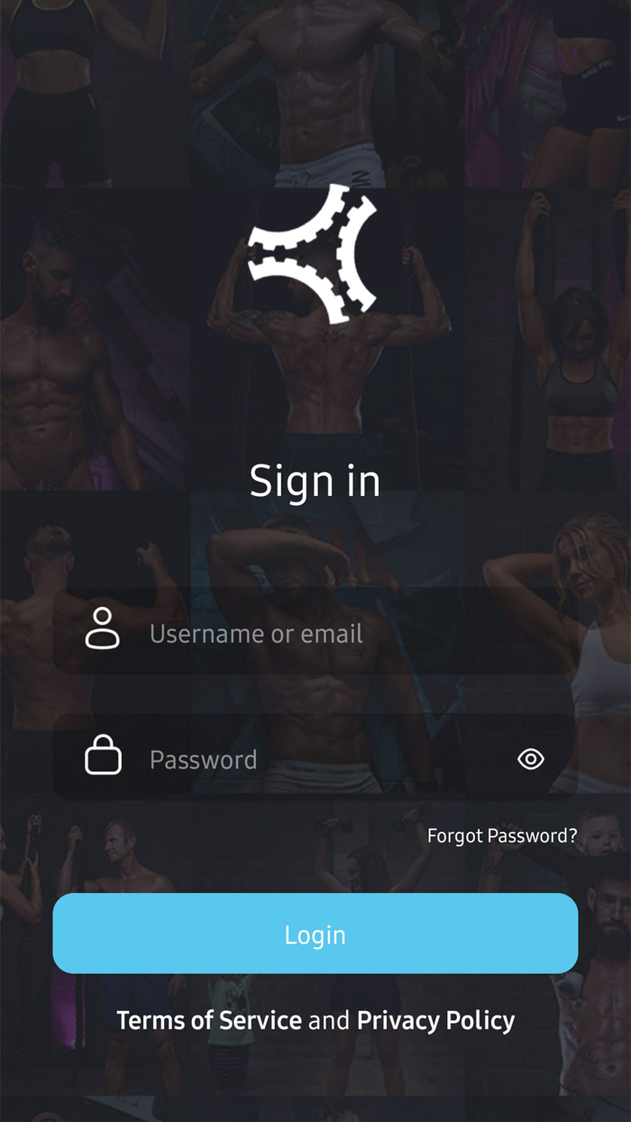 MC Future Fitness V3