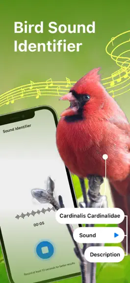 Game screenshot Bird Song Identifier Sounds ID mod apk