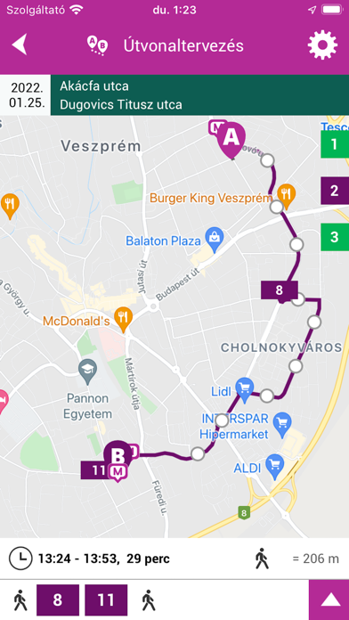 VBuszON Screenshot