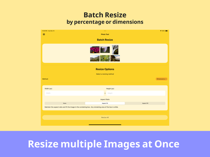 Album Utility Mass Delete Tool