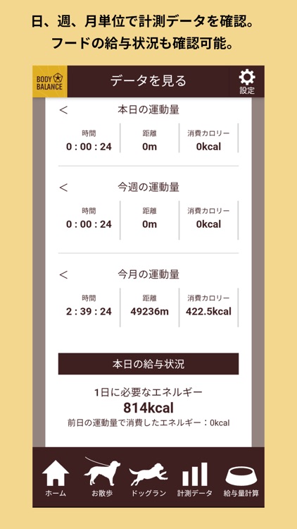 BODY BALANCE 愛犬の運動量計測・給与量計算アプリ screenshot-4
