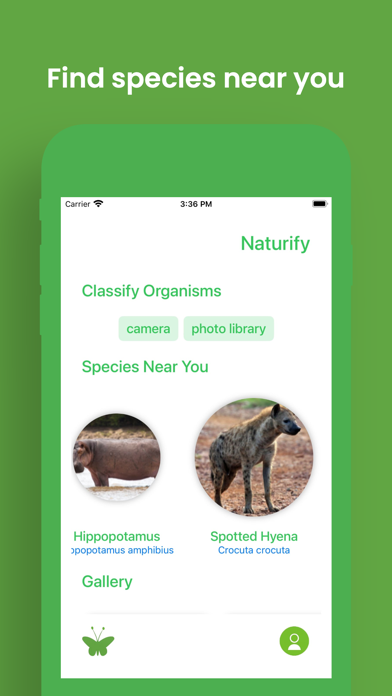 Naturify Screenshot