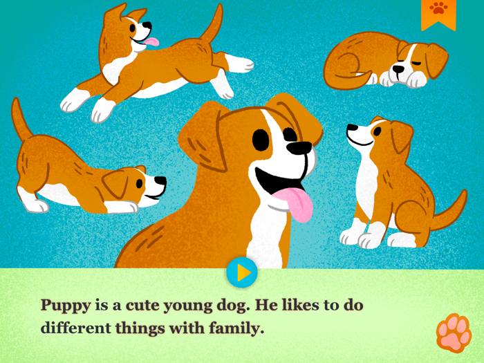 A Day in Puppys Life