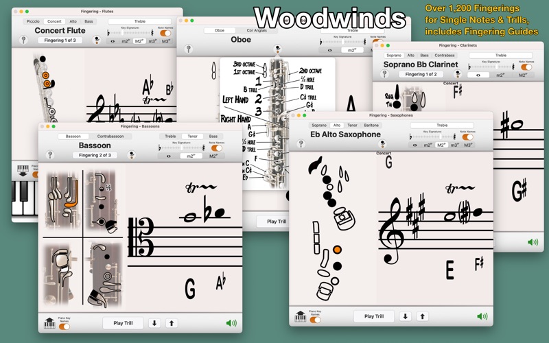 How to cancel & delete fingering woodwinds 2 1