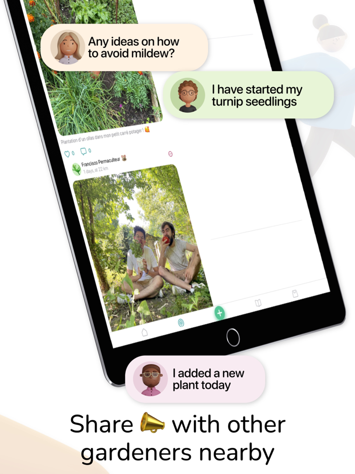 Tomate and Basilic- Permaculture