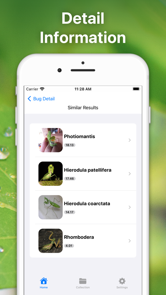 #4. Bug Identifier Insect Id (iOS) 由: Le Khanh